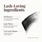 Korean Peptide Mascara for Mature Lashes